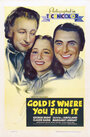 Золото там, где ищешь (1938) скачать бесплатно в хорошем качестве без регистрации и смс 1080p