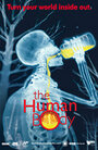Человеческое тело (2001) трейлер фильма в хорошем качестве 1080p
