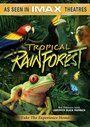Смотреть «Тропический лес» онлайн фильм в хорошем качестве