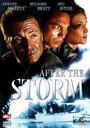 Смотреть «После шторма» онлайн фильм в хорошем качестве