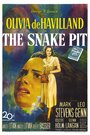 Змеиная яма (1948) кадры фильма смотреть онлайн в хорошем качестве