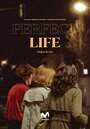 Идеальная жизнь (2019) трейлер фильма в хорошем качестве 1080p