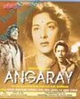 Смотреть «Angaray» онлайн фильм в хорошем качестве