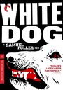 Смотреть «Белая собака» онлайн фильм в хорошем качестве