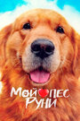 Смотреть «Мой пёс Руни» онлайн фильм в хорошем качестве