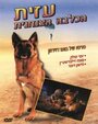 Смотреть «Азит – служебная собака» онлайн фильм в хорошем качестве