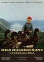 Чудесное путешествие Нильса Хольгерсона (1962)