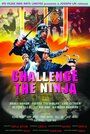 Смотреть «Challenge of the Ninja» онлайн фильм в хорошем качестве