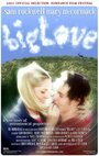 Смотреть «Большая любовь» онлайн фильм в хорошем качестве