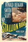 Конный путь (1947) кадры фильма смотреть онлайн в хорошем качестве