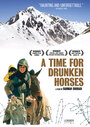 Время пьяных лошадей (2000) трейлер фильма в хорошем качестве 1080p