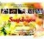 Смотреть «Snapdragon» онлайн фильм в хорошем качестве