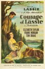 Храбрость Лэсси (1946) трейлер фильма в хорошем качестве 1080p