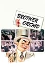 Брат «Орхидея» (1940) трейлер фильма в хорошем качестве 1080p