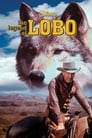 Легенда о Лобо (1962) кадры фильма смотреть онлайн в хорошем качестве