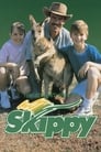 Приключения Скиппи (1992) скачать бесплатно в хорошем качестве без регистрации и смс 1080p