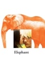 Смотреть «Слон» онлайн фильм в хорошем качестве