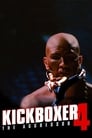 Кикбоксер 4: Агрессор (1994)
