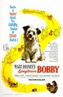 Смотреть «Бобби из Грейфраерса: Правдивая история» онлайн фильм в хорошем качестве