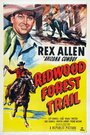 След Красного дерева в лесу (1950) трейлер фильма в хорошем качестве 1080p