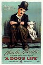 Собачья жизнь (1918) скачать бесплатно в хорошем качестве без регистрации и смс 1080p