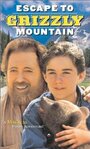 Смотреть «Медвежья гора 2» онлайн фильм в хорошем качестве