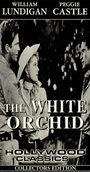 The White Orchid (1954)