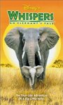 Приключения слона (2000) кадры фильма смотреть онлайн в хорошем качестве