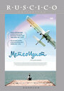 Метеоидиот (2008) скачать бесплатно в хорошем качестве без регистрации и смс 1080p