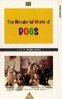 Эти удивительные собаки (1990) трейлер фильма в хорошем качестве 1080p