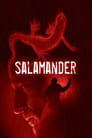 Смотреть «Саламандра» онлайн сериал в хорошем качестве