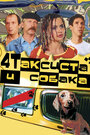 Четыре таксиста и собака (2004) кадры фильма смотреть онлайн в хорошем качестве