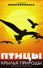 Смотреть «Птицы: Крылья природы» онлайн сериал в хорошем качестве