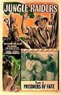 Расхитители джунглей (1945) трейлер фильма в хорошем качестве 1080p