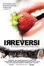 Irreversi (2010) скачать бесплатно в хорошем качестве без регистрации и смс 1080p