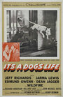It's a Dog's Life (1955) кадры фильма смотреть онлайн в хорошем качестве