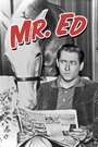 Мистер Эд (1958) кадры фильма смотреть онлайн в хорошем качестве