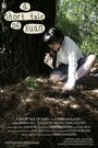 Смотреть «A Short Tale of Xuan» онлайн фильм в хорошем качестве