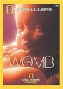 Смотреть «Life Before Birth» онлайн фильм в хорошем качестве