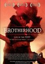 Смотреть «Brotherhood» онлайн фильм в хорошем качестве