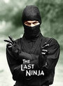 Смотреть «Последний ниндзя» онлайн фильм в хорошем качестве