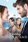 Смотреть «Успеть выйти замуж / Зимняя свадьба / Свадьба в стране чудес» онлайн фильм в хорошем качестве