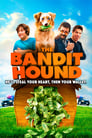 Смотреть «Пёс Бандит» онлайн фильм в хорошем качестве