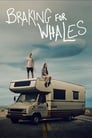 Смотреть «Дорога к китам» онлайн фильм в хорошем качестве