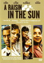 Изюм на солнце (2008) кадры фильма смотреть онлайн в хорошем качестве