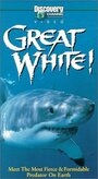 Great White (1998) трейлер фильма в хорошем качестве 1080p