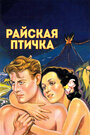 Райская птичка (1932)