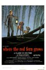 Смотреть «Цветок красного папоротника» онлайн фильм в хорошем качестве