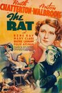 Смотреть «Крыса» онлайн фильм в хорошем качестве
