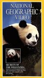 Смотреть «Secrets of the Wild Panda» онлайн фильм в хорошем качестве